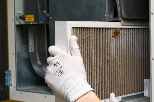Best Air Duct Cleaning Company Near Me  in Kaysville, UT
